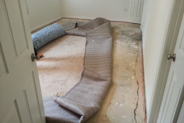 water damage carpet repair