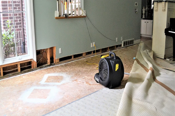 water damage carpet