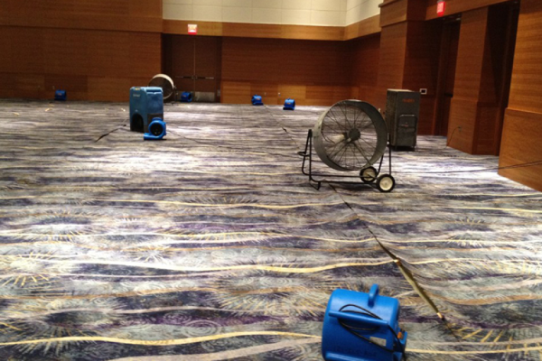 water damage carpet cleaning services