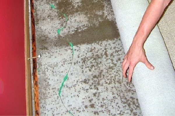 water damage carpet cleaning