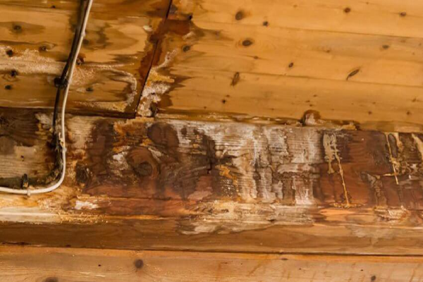 importance of water damage in attic