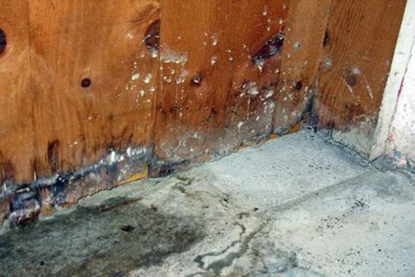 everything about hidden water damage
