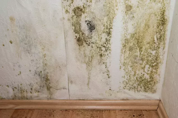 can water damage make you sick